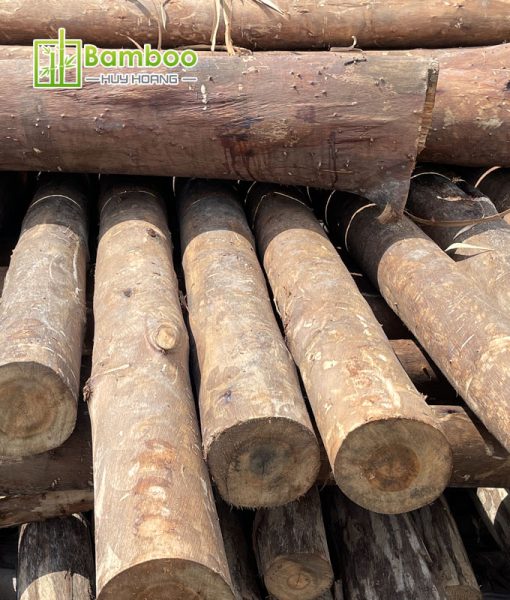 Debarked eucalyptus wood