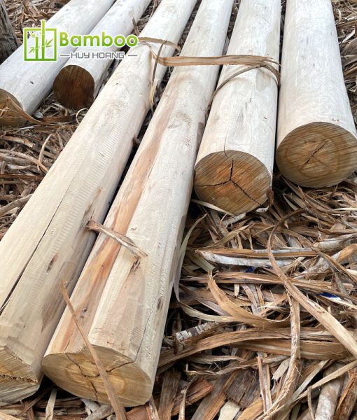 Debarked eucalyptus wood